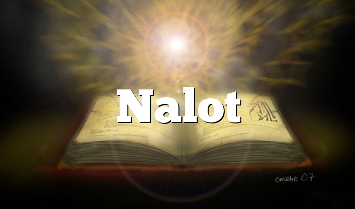 Nalot