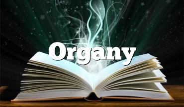 Organy