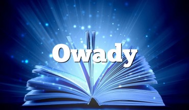 Owady