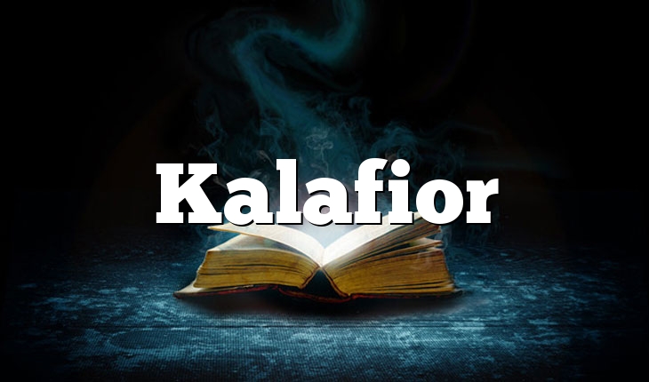 Kalafior