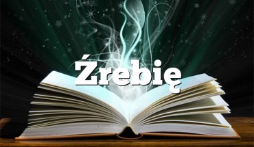 Źrebię
