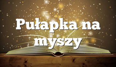 Pułapka na myszy