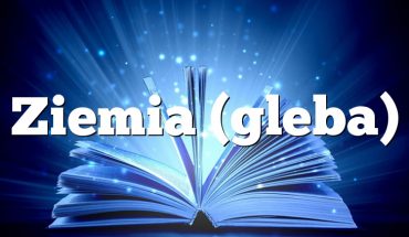 Ziemia (gleba)