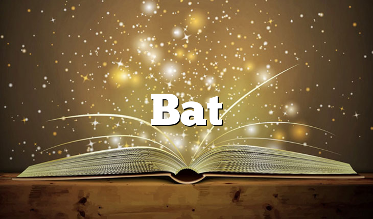 Bat