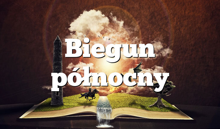 Biegun północny