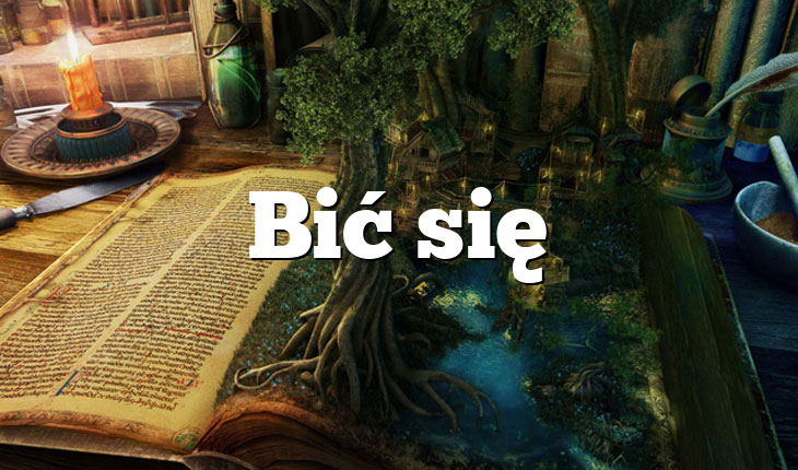 Bić się