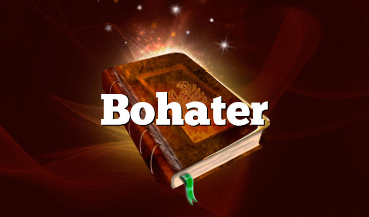 Bohater