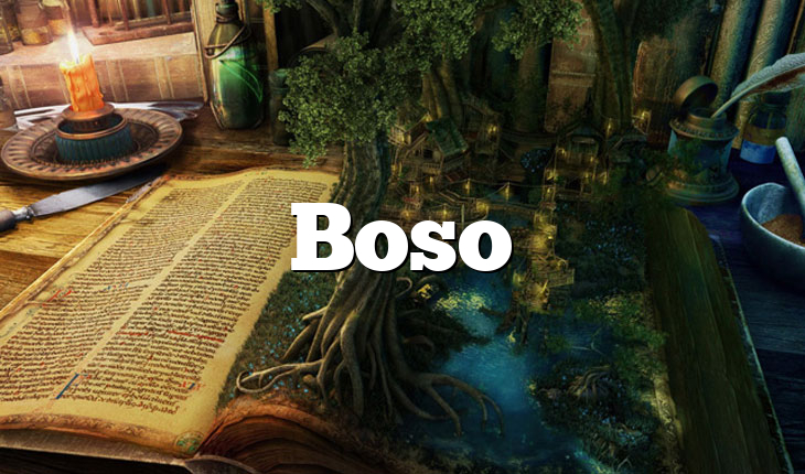Boso