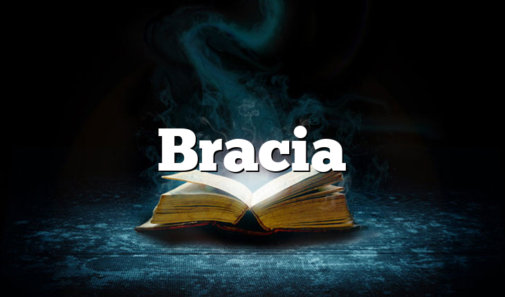 Bracia