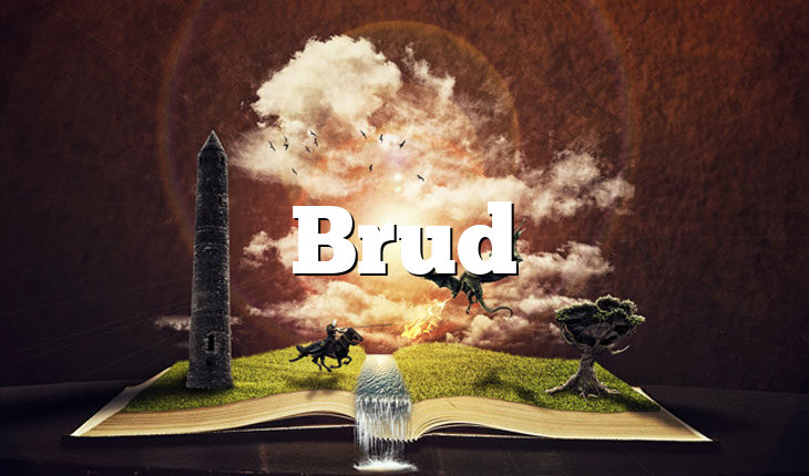 Brud