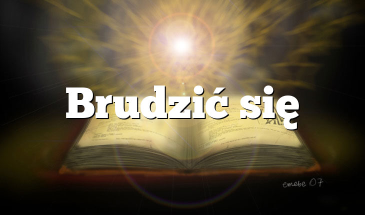 Brudzić się