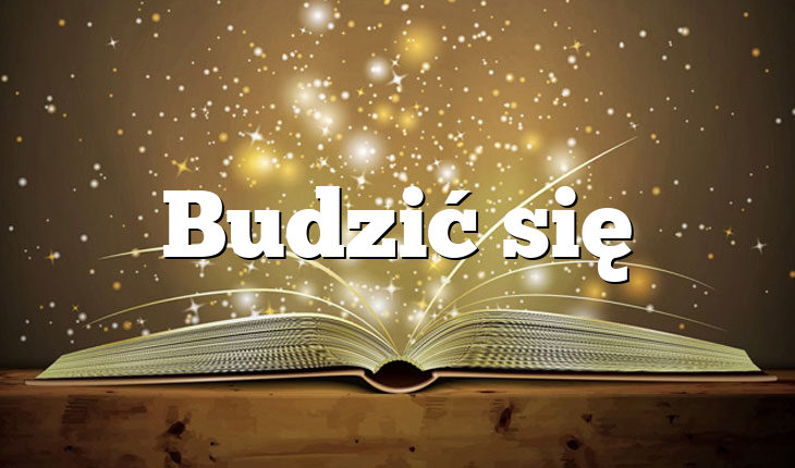 Budzić się