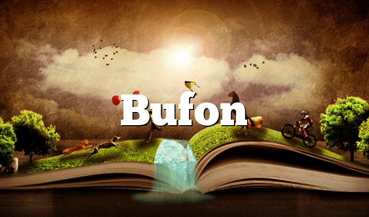 Bufon