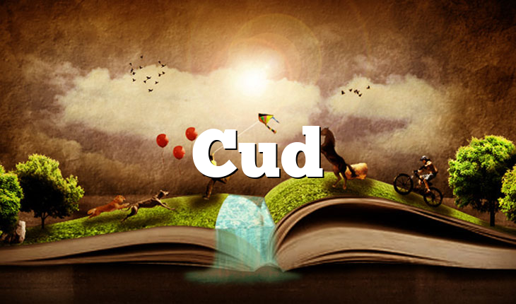 Cud