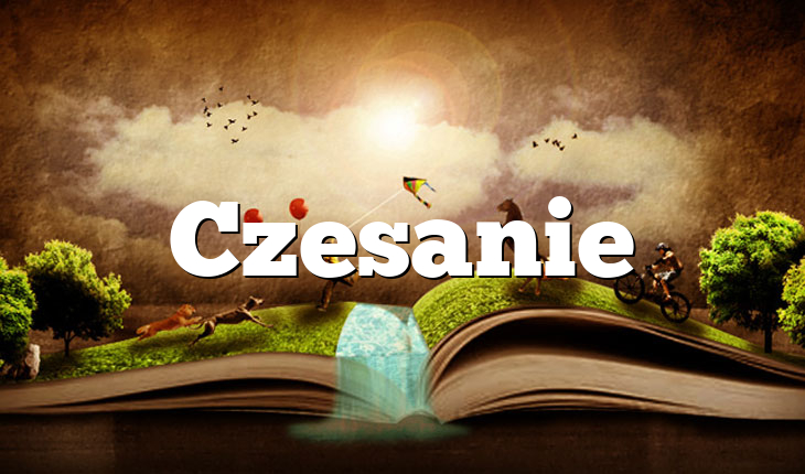 Czesanie