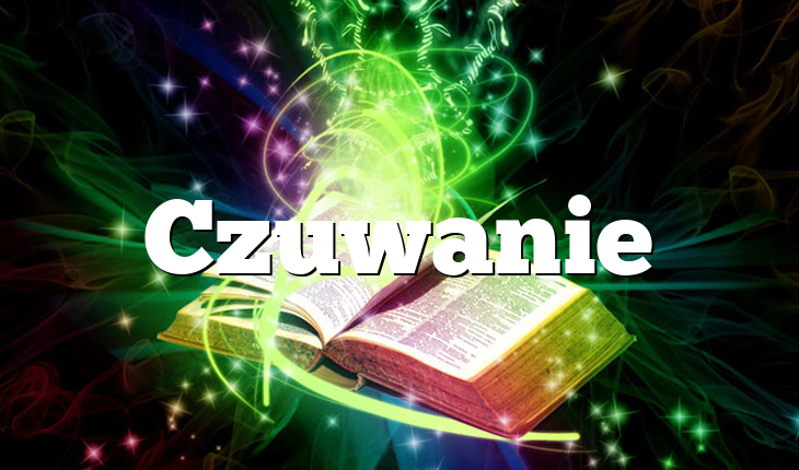 Czuwanie