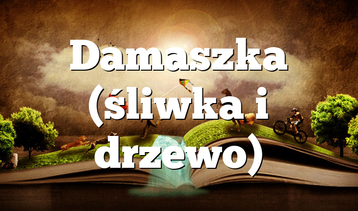 Damaszka (śliwka i drzewo)