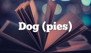 Dog (pies)