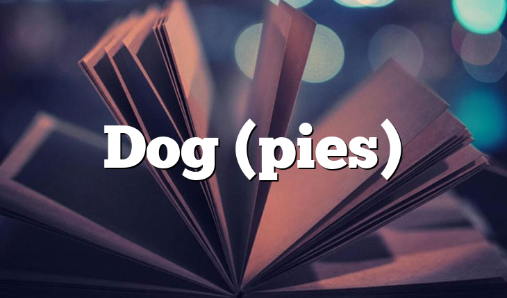 Dog (pies)