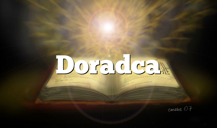 Doradca