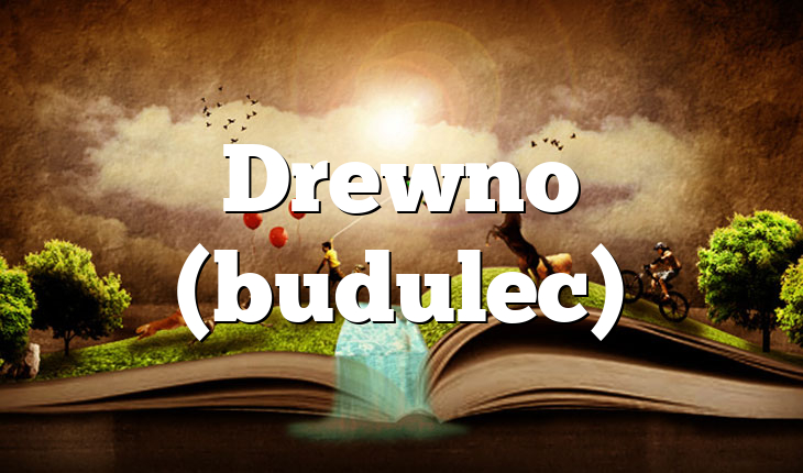 Drewno (budulec)