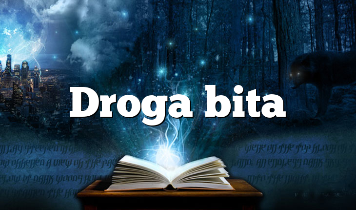 Droga bita