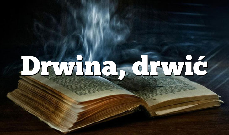 Drwina, drwić
