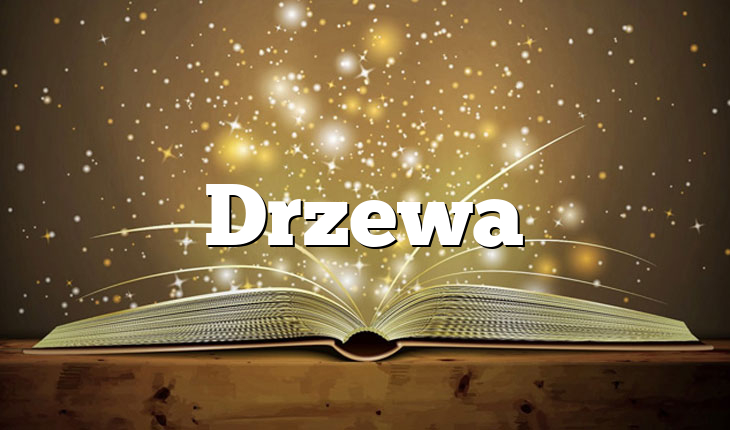 Drzewa