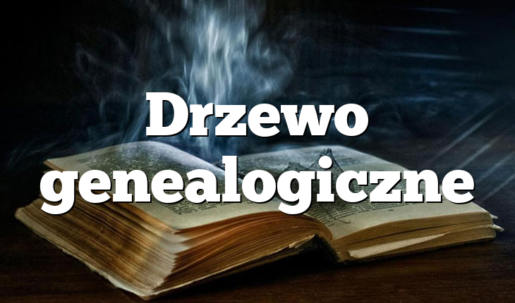 Drzewo genealogiczne