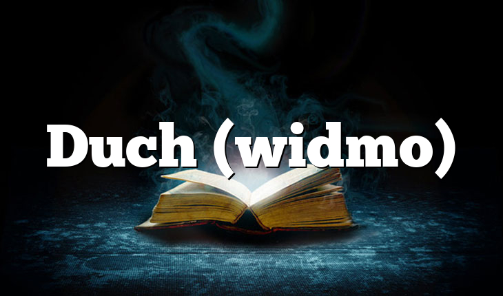 Duch (widmo)