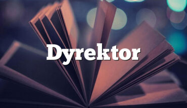 Dyrektor