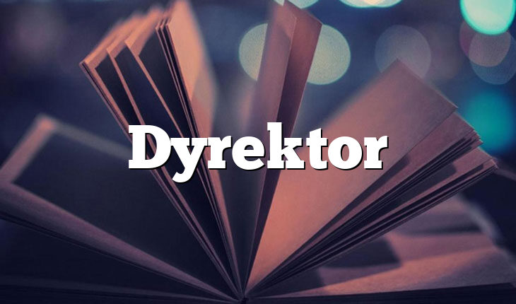 Dyrektor