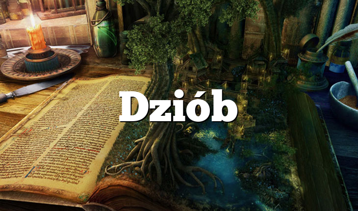 Dziób