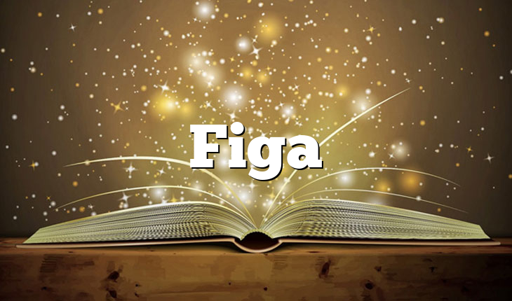 Figa