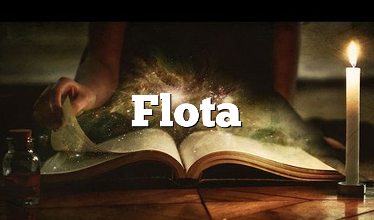 Flota