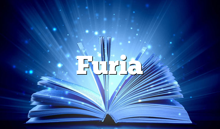 Furia
