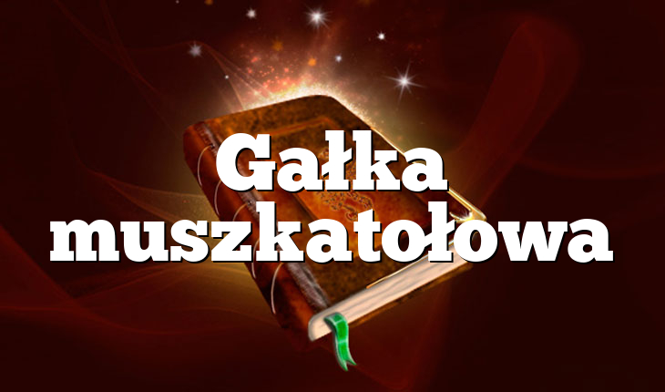 Gałka muszkatołowa