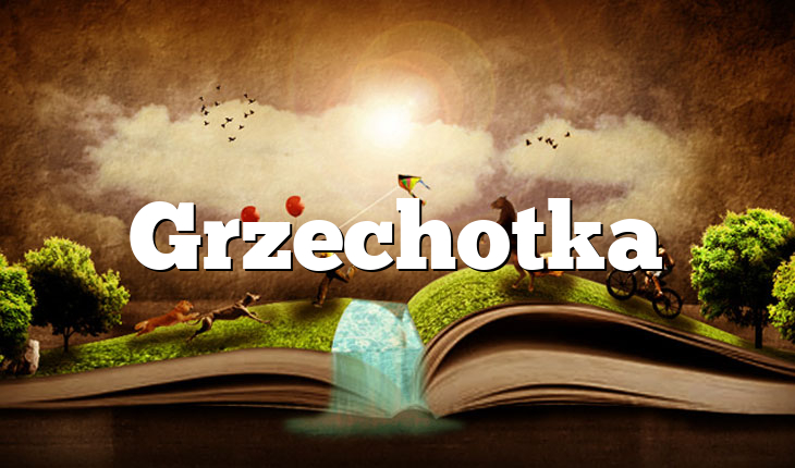 Grzechotka