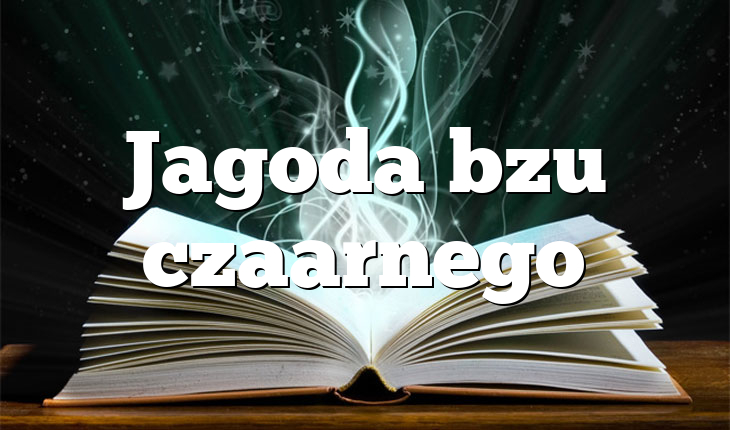 Jagoda bzu czaarnego