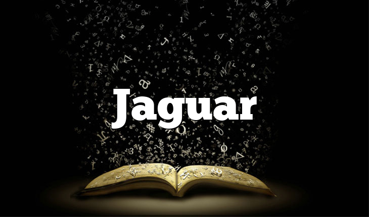 Jaguar