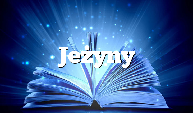 Jeżyny