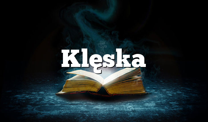 Klęska