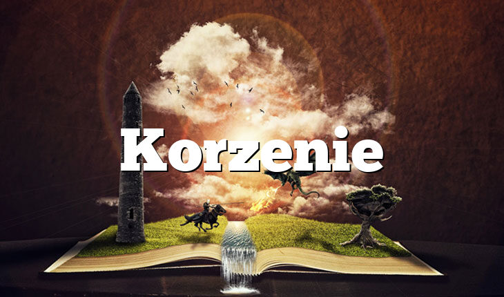 Korzenie