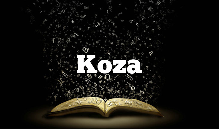 Koza