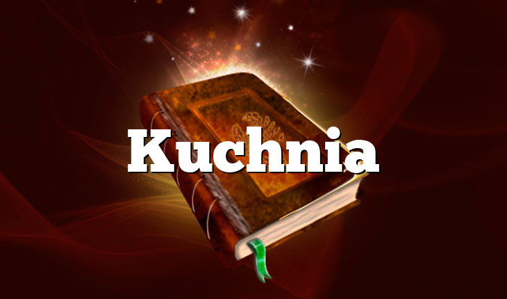 Kuchnia