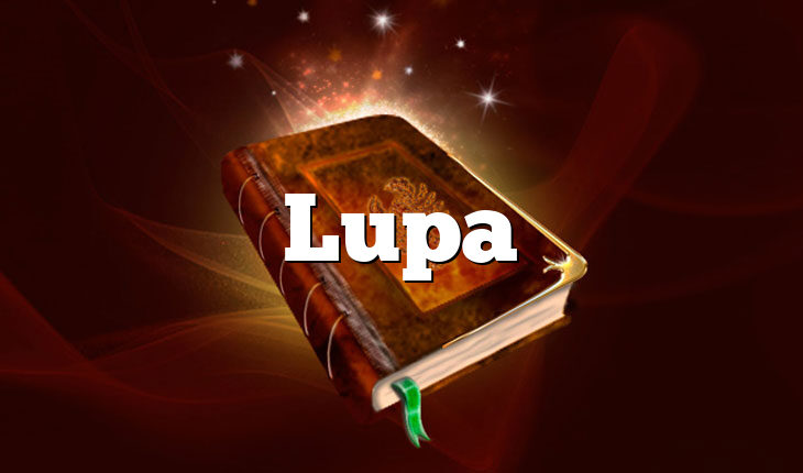 Lupa
