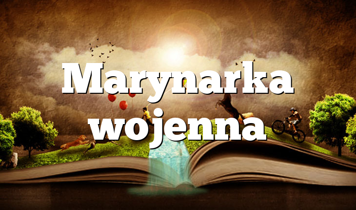 Marynarka wojenna