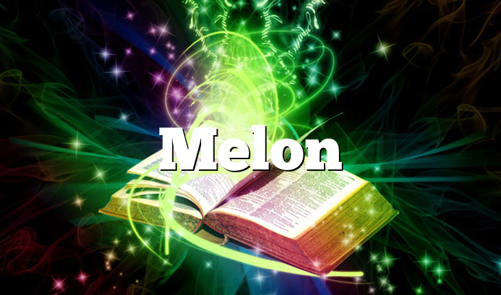 Melon