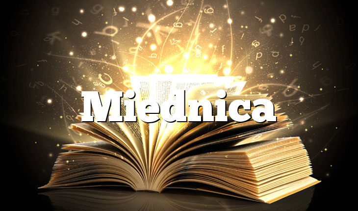 Miednica