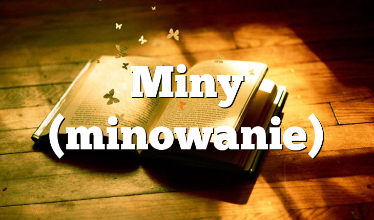 Miny (minowanie)